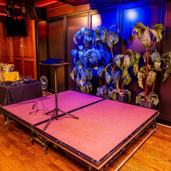 A small stage with pink carpeting, a DJ setup, and potted plants under blue and red lighting.