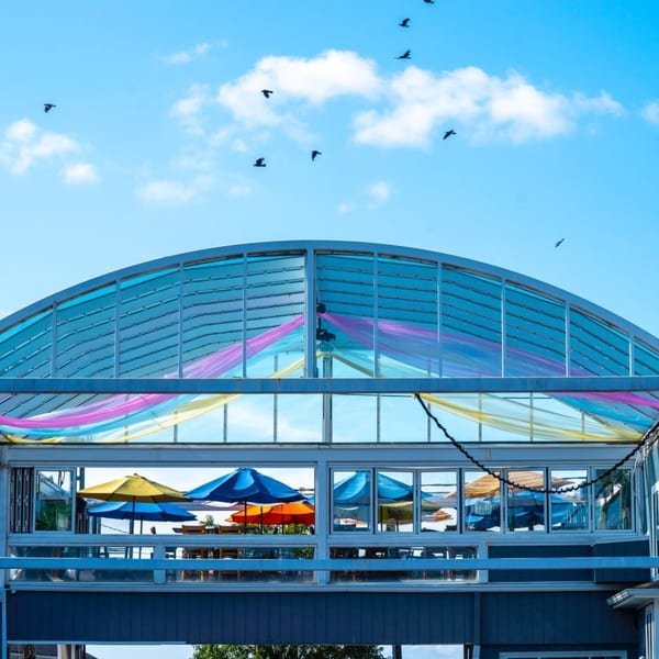 Curved glass roof with colorful fabric, birds flying, and outdoor seating with umbrellas visible below.